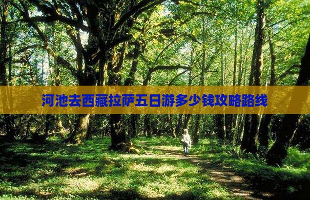 河池去西藏拉萨五日游