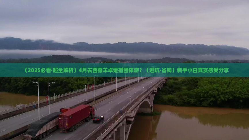 四月去西藏羊卓雍措团体旅游