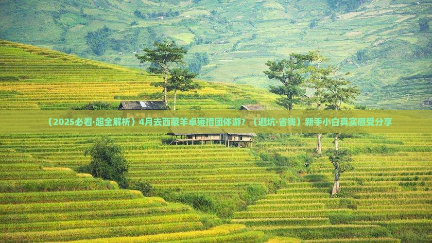 四月去西藏羊卓雍措团体旅游