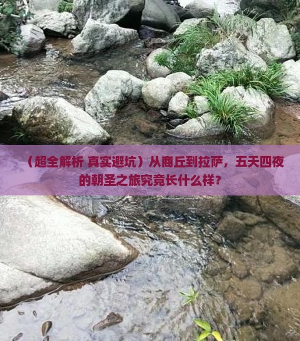商丘去西藏拉萨五日游