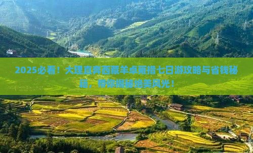 大理去西藏羊卓雍措七日游
