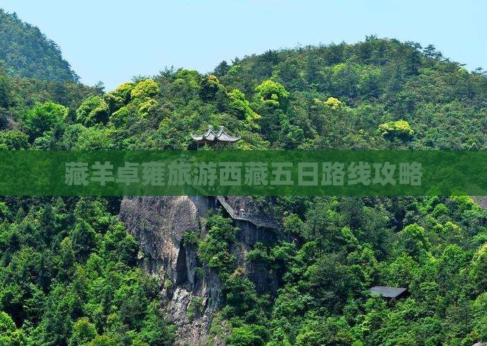 白城去西藏羊卓雍措五日游