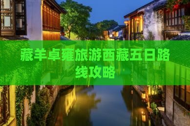 白城去西藏羊卓雍措五日游