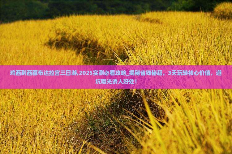 鸡西到西藏布达拉宫三日游