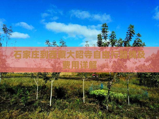 石家庄到西藏大昭寺自由行