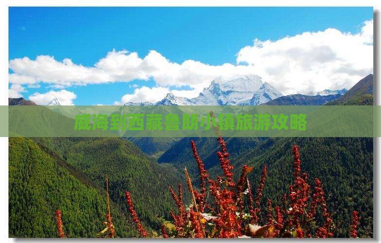 威海到西藏鲁朗小镇旅行社