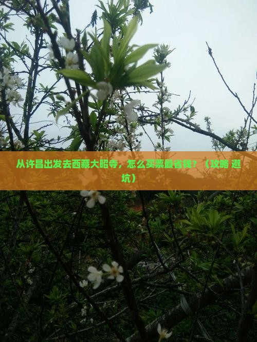 许昌去西藏大昭寺门票