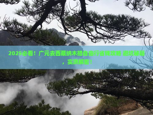 广元去西藏纳木措自由行