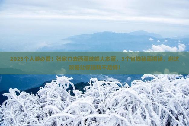 张家口去西藏珠峰大本营个人游