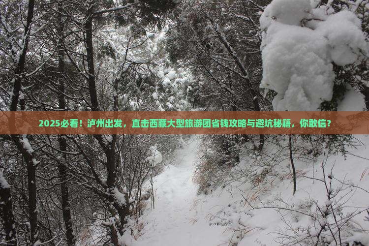 泸州到西藏大型旅游团