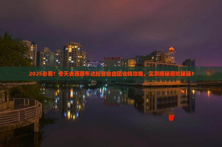 冬天去西藏布达拉宫自由团
