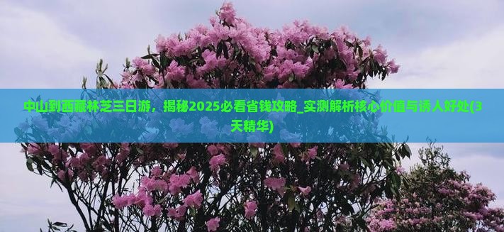 中山到西藏林芝三日游
