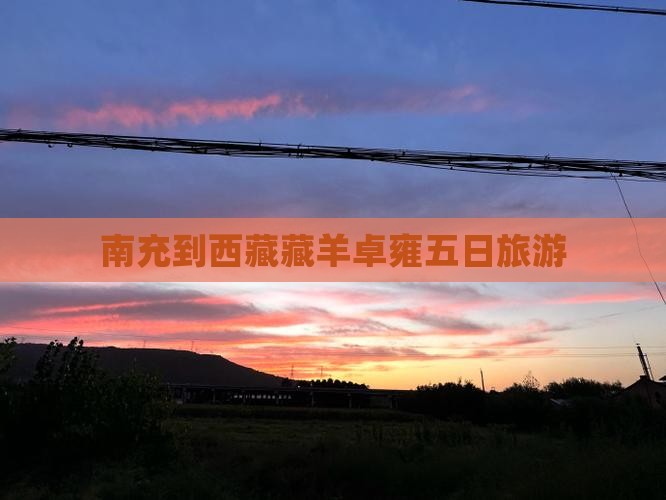 南充到西藏羊卓雍措五日游