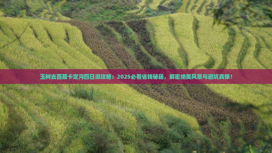玉树去西藏卡定沟四日游