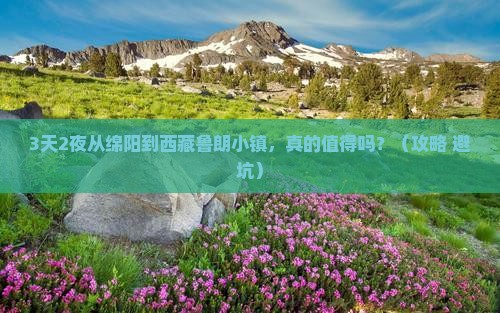 绵阳去西藏鲁朗小镇一日