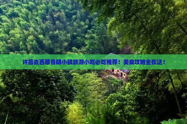 许昌去西藏鲁朗小镇旅游小吃