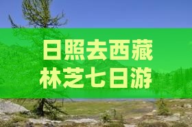 日照去西藏林芝七日游