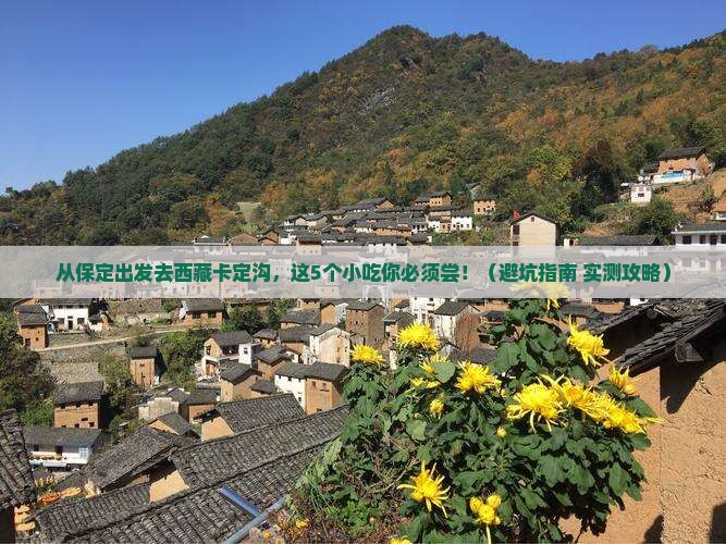 保定去西藏卡定沟旅游小吃