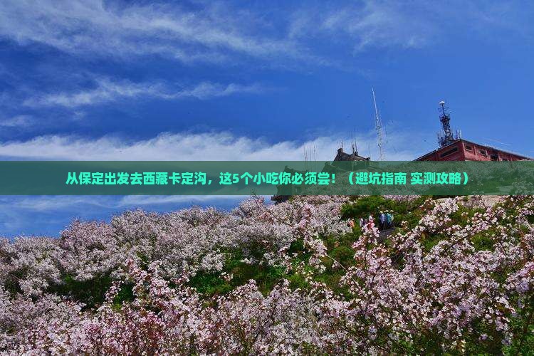 保定去西藏卡定沟旅游小吃