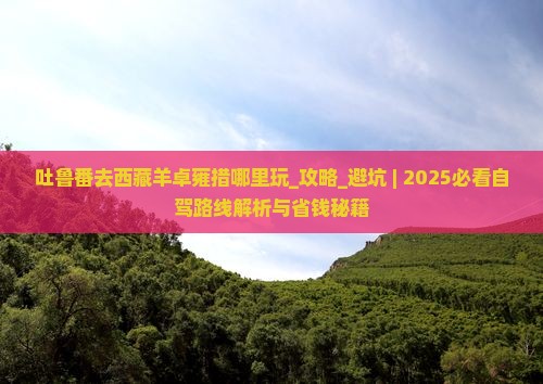 吐鲁番去西藏羊卓雍措哪里玩