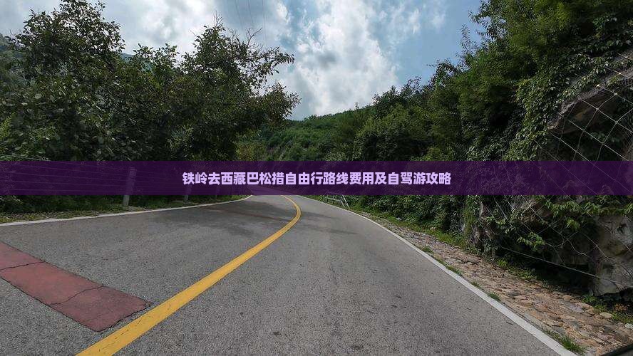 铁岭去西藏巴松措自由行