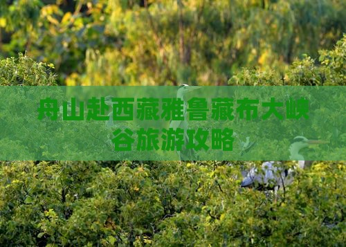 舟山去西藏雅鲁藏布大峡谷门票