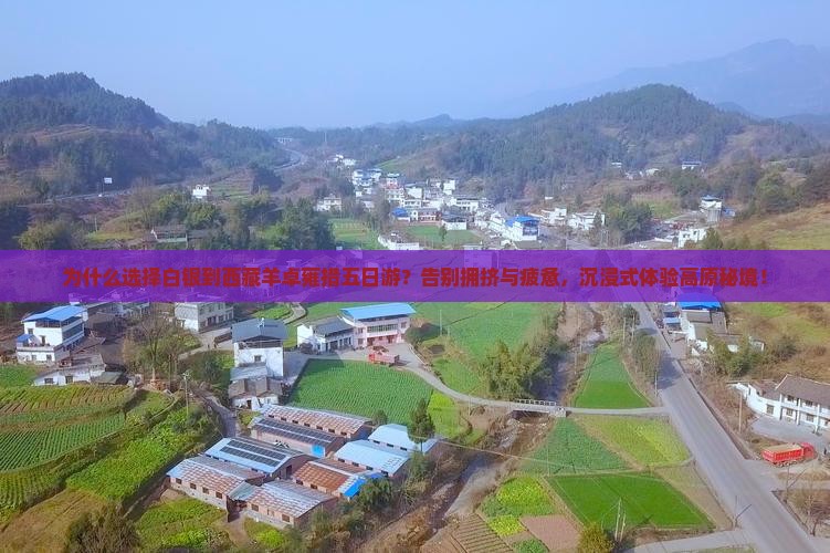 白银到西藏羊卓雍措五日游