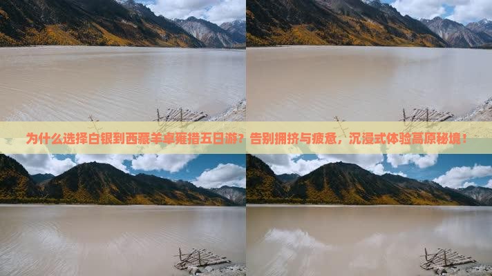 白银到西藏羊卓雍措五日游