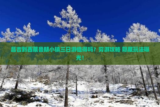 昌吉到西藏鲁朗小镇三日游