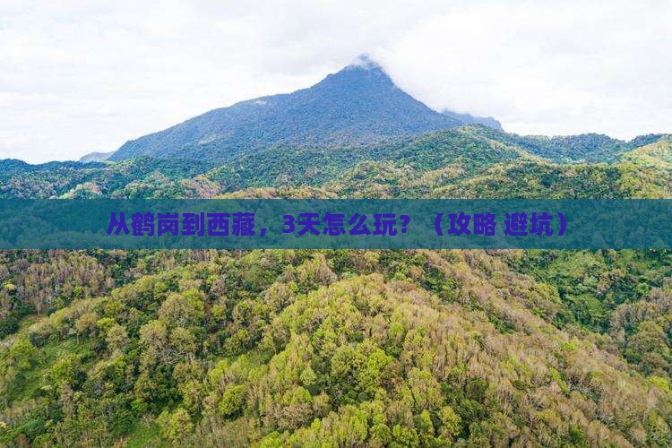 鹤岗去西藏门票 鹤岗去西藏门票