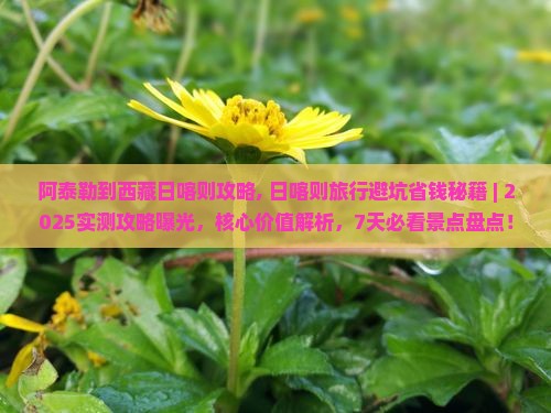 阿泰勒到西藏日喀则攻略 阿泰勒到西藏日喀则攻略