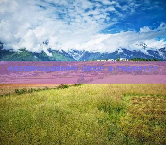 永新去西藏林芝自由团 永新去西藏林芝自由团
