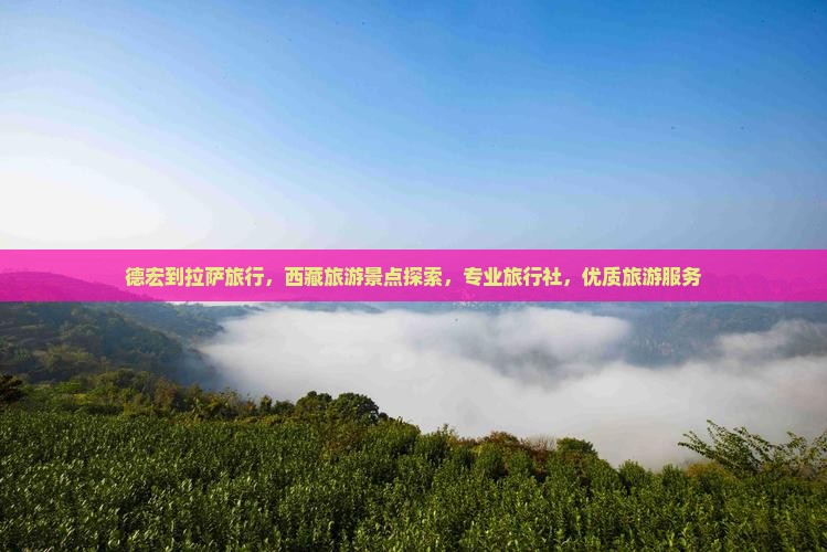 德宏到西藏拉萨旅行社