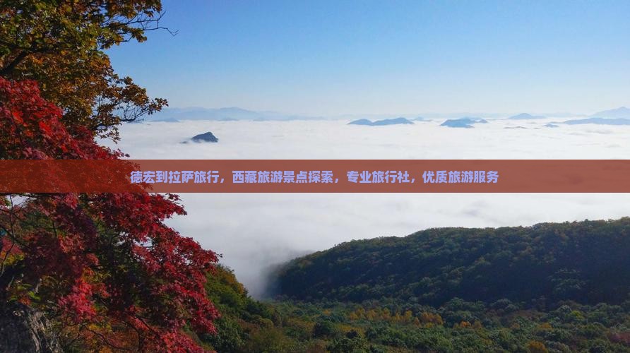 德宏到西藏拉萨旅行社