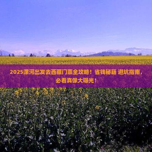 漯河去西藏门票
