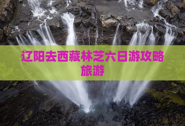 辽阳去西藏林芝六日游
