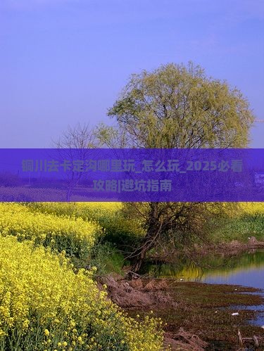 铜川去西藏卡定沟哪里玩
