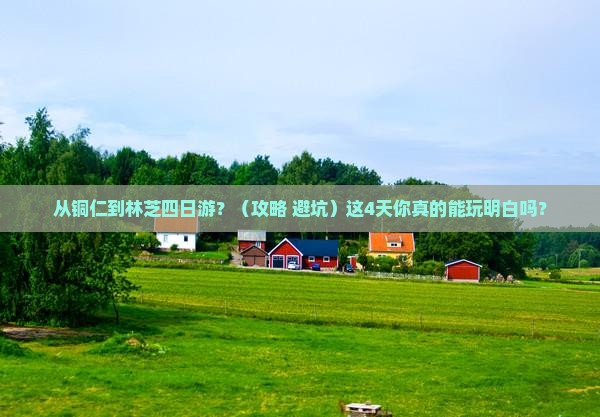 铜仁到西藏林芝四日游