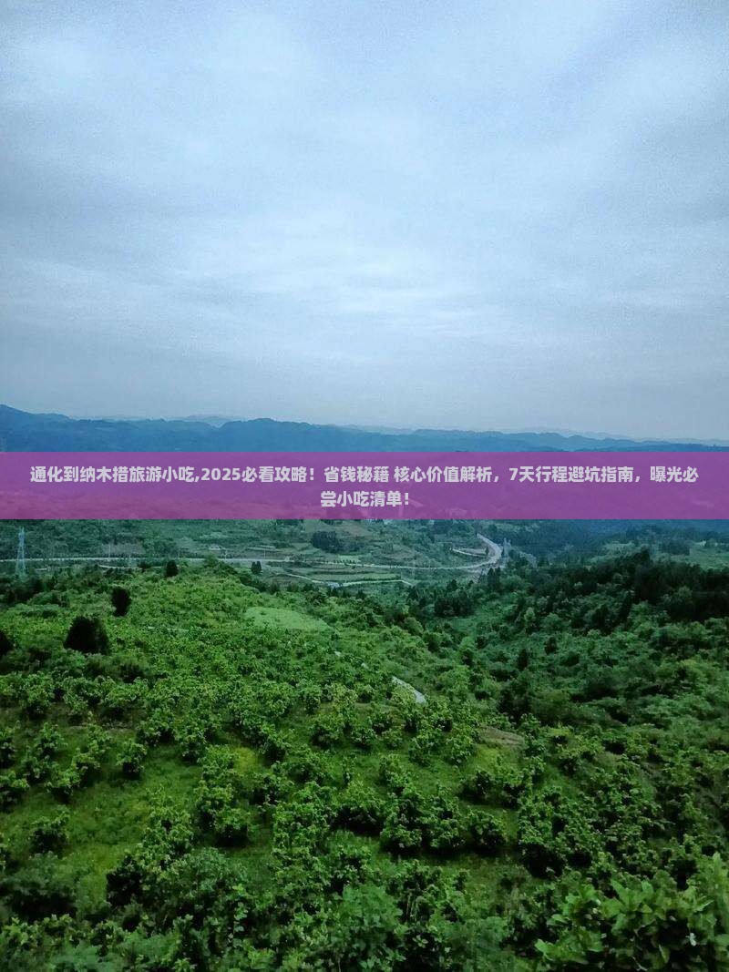 通化到西藏纳木措旅游小吃