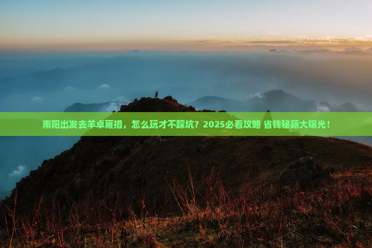 南阳去西藏羊卓雍措哪里玩