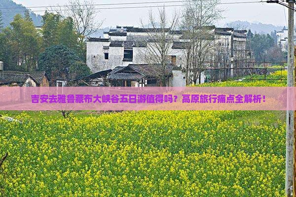 吉安去西藏雅鲁藏布大峡谷五日游