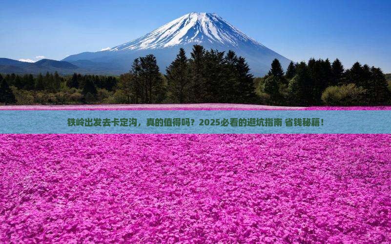 铁岭去西藏卡定沟攻略