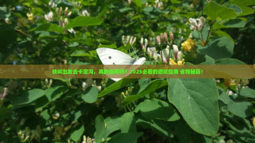 铁岭去西藏卡定沟攻略