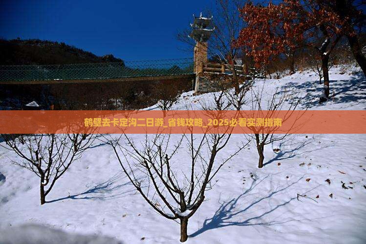 鹤壁去西藏卡定沟二日游