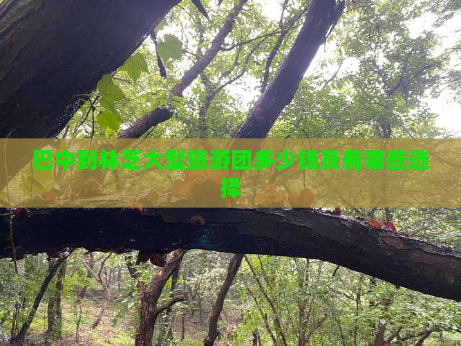 巴中到西藏林芝大型旅游团