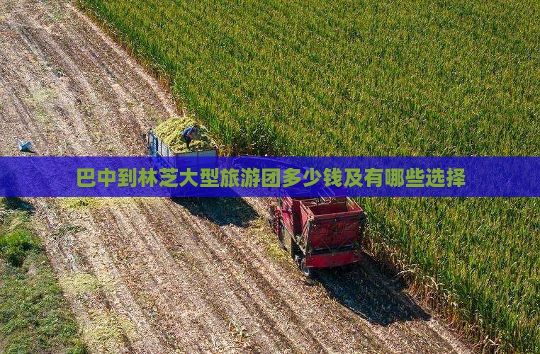 巴中到西藏林芝大型旅游团