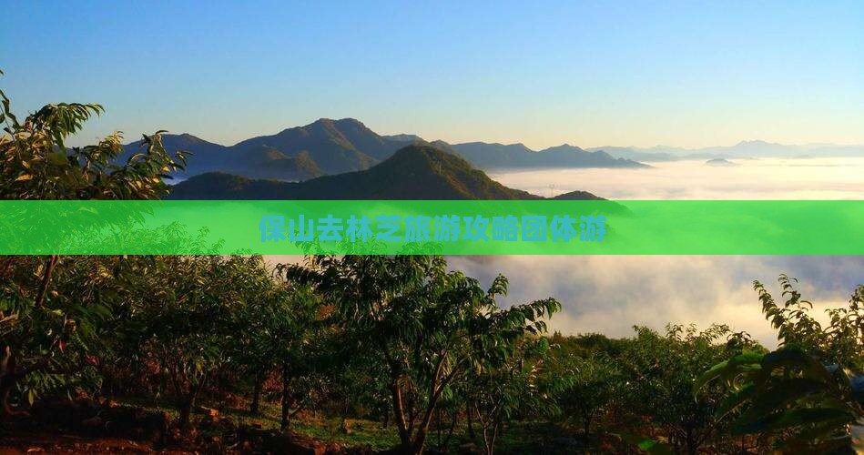 保山去西藏林芝团体旅游
