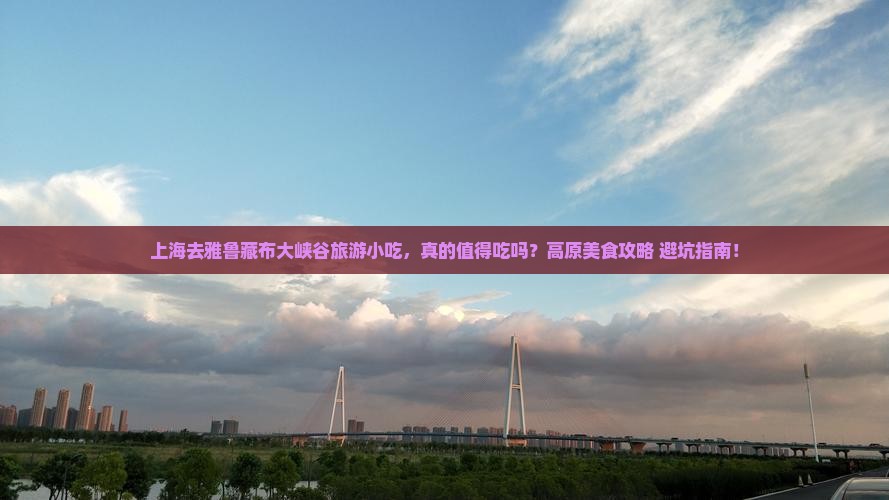 上海去西藏雅鲁藏布大峡谷旅游小吃