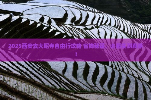 西安去西藏大昭寺自由团