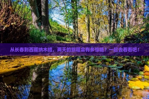 长春去西藏纳木措二日游